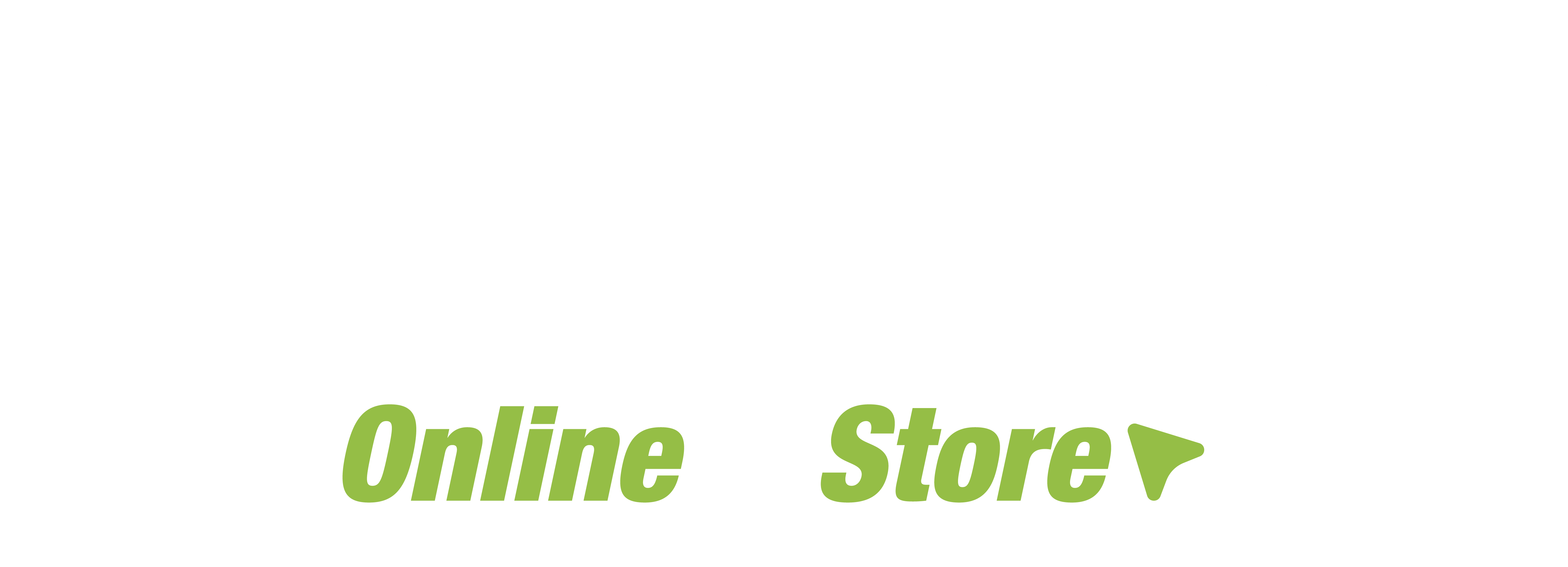 Ecommerce Store